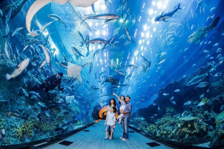 dubai-aquarium-and-underwater-zoo